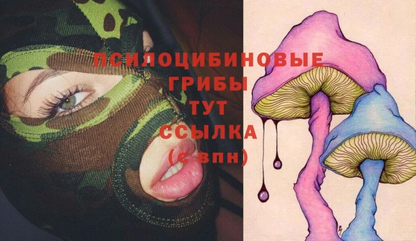 ГАЛЛЮЦИНОГЕННЫЕ ГРИБЫ Алексеевка