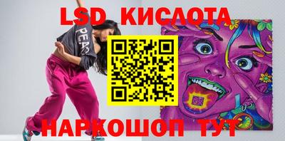 гидра Брянск