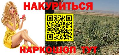 гидра Брянск