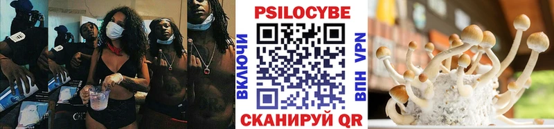 купить  сайты  Карасук  Псилоцибиновые грибы Cubensis 